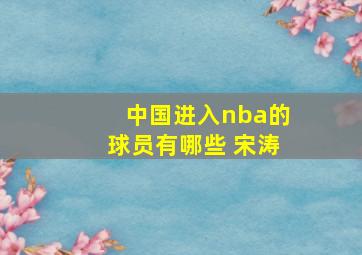 中国进入nba的球员有哪些 宋涛